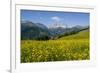 Alpine Meadow, Switzerland-Dr. Juerg Alean-Framed Photographic Print