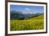 Alpine Meadow, Switzerland-Dr. Juerg Alean-Framed Photographic Print