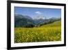 Alpine Meadow, Switzerland-Dr. Juerg Alean-Framed Photographic Print