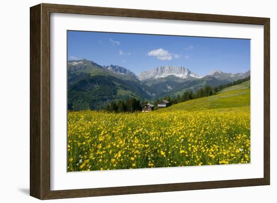 Alpine Meadow, Switzerland-Dr. Juerg Alean-Framed Photographic Print