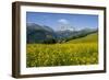 Alpine Meadow, Switzerland-Dr. Juerg Alean-Framed Photographic Print