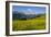 Alpine Meadow, Switzerland-Dr. Juerg Alean-Framed Photographic Print