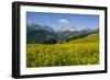 Alpine Meadow, Switzerland-Dr. Juerg Alean-Framed Photographic Print