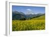 Alpine Meadow, Switzerland-Dr. Juerg Alean-Framed Photographic Print