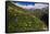 Alpine Meadow with Flowers, Mount Elbrus in the Distance, Caucasus, Russia, June 2008-Schandy-Framed Stretched Canvas