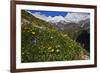 Alpine Meadow with Flowers, Mount Elbrus in the Distance, Caucasus, Russia, June 2008-Schandy-Framed Photographic Print