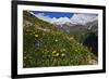 Alpine Meadow with Flowers, Mount Elbrus in the Distance, Caucasus, Russia, June 2008-Schandy-Framed Photographic Print