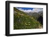 Alpine Meadow with Flowers, Mount Elbrus in the Distance, Caucasus, Russia, June 2008-Schandy-Framed Photographic Print