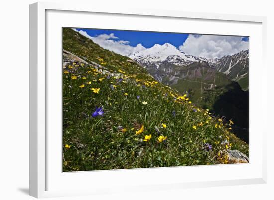 Alpine Meadow with Flowers, Mount Elbrus in the Distance, Caucasus, Russia, June 2008-Schandy-Framed Photographic Print