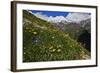 Alpine Meadow with Flowers, Mount Elbrus in the Distance, Caucasus, Russia, June 2008-Schandy-Framed Photographic Print