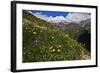 Alpine Meadow with Flowers, Mount Elbrus in the Distance, Caucasus, Russia, June 2008-Schandy-Framed Photographic Print