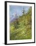 Alpine Meadow-John Fulleylove-Framed Art Print