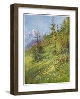 Alpine Meadow-John Fulleylove-Framed Art Print