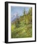 Alpine Meadow-John Fulleylove-Framed Art Print