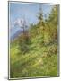 Alpine Meadow-John Fulleylove-Mounted Art Print