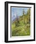 Alpine Meadow-John Fulleylove-Framed Art Print