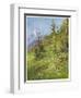 Alpine Meadow-John Fulleylove-Framed Art Print