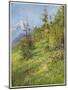 Alpine Meadow-John Fulleylove-Mounted Art Print