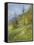 Alpine Meadow-John Fulleylove-Framed Stretched Canvas