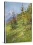 Alpine Meadow-John Fulleylove-Stretched Canvas