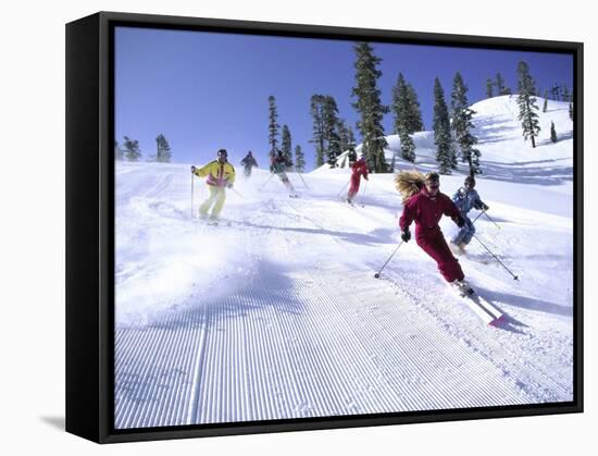 Alpine Meadows, California, USA-null-Framed Stretched Canvas