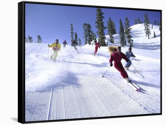 Alpine Meadows, California, USA-null-Framed Stretched Canvas