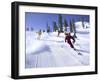 Alpine Meadows, California, USA-null-Framed Photographic Print