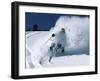 Alpine Meadows, California, USA-null-Framed Photographic Print