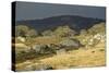 Alpine National Park-null-Stretched Canvas