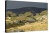Alpine National Park-null-Stretched Canvas