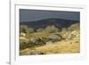 Alpine National Park-null-Framed Photographic Print