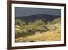 Alpine National Park-null-Framed Photographic Print