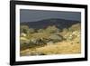 Alpine National Park-null-Framed Photographic Print