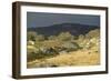 Alpine National Park-null-Framed Photographic Print