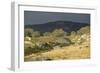 Alpine National Park-null-Framed Photographic Print