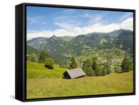 Alpine Pasture Enar Grindelwald Valley Below Eiger, Jungfrau Region, Switzerland-Michael DeFreitas-Framed Stretched Canvas