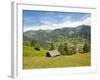 Alpine Pasture Enar Grindelwald Valley Below Eiger, Jungfrau Region, Switzerland-Michael DeFreitas-Framed Photographic Print