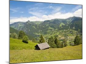 Alpine Pasture Enar Grindelwald Valley Below Eiger, Jungfrau Region, Switzerland-Michael DeFreitas-Mounted Photographic Print