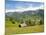 Alpine Pasture Enar Grindelwald Valley Below Eiger, Jungfrau Region, Switzerland-Michael DeFreitas-Mounted Photographic Print