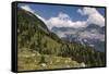 alpine pastures on the Jôf di Montasio, Italy-Simone Wunderlich-Framed Stretched Canvas