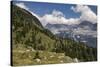 alpine pastures on the Jôf di Montasio, Italy-Simone Wunderlich-Stretched Canvas