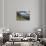 alpine pastures on the Jôf di Montasio, Italy-Simone Wunderlich-Photographic Print displayed on a wall
