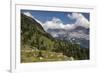 alpine pastures on the Jôf di Montasio, Italy-Simone Wunderlich-Framed Photographic Print