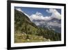 alpine pastures on the Jôf di Montasio, Italy-Simone Wunderlich-Framed Photographic Print