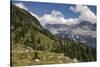 alpine pastures on the Jôf di Montasio, Italy-Simone Wunderlich-Stretched Canvas