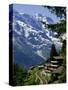 Alpine Railway, Murren, Jungfrau Region, Bernese Oberland, Swiss Alps, Switzerland-Roy Rainford-Stretched Canvas