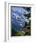 Alpine Railway, Murren, Jungfrau Region, Bernese Oberland, Swiss Alps, Switzerland-Roy Rainford-Framed Photographic Print