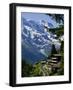 Alpine Railway, Murren, Jungfrau Region, Bernese Oberland, Swiss Alps, Switzerland-Roy Rainford-Framed Photographic Print