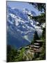 Alpine Railway, Murren, Jungfrau Region, Bernese Oberland, Swiss Alps, Switzerland-Roy Rainford-Mounted Photographic Print