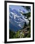 Alpine Railway, Murren, Jungfrau Region, Bernese Oberland, Swiss Alps, Switzerland-Roy Rainford-Framed Photographic Print